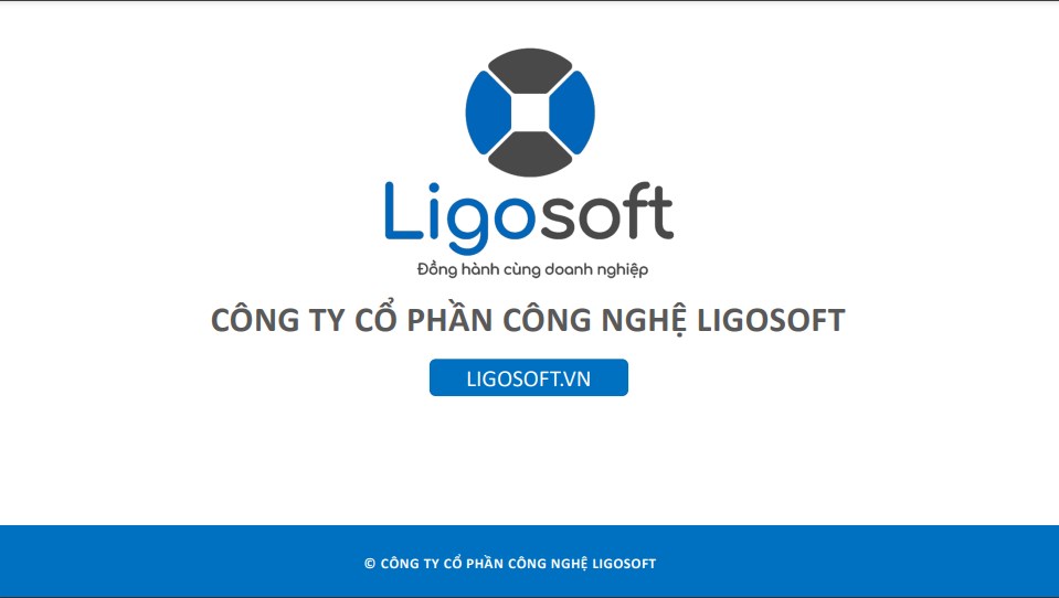 Tài liệu giải pháp công ty LigoSoft