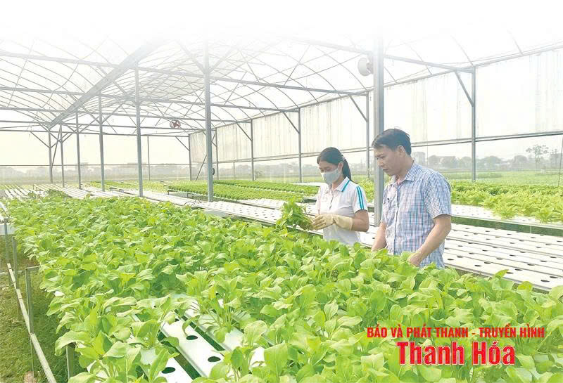 Ứng dụng công nghệ trong chuỗi cung ứng nông sản an toàn