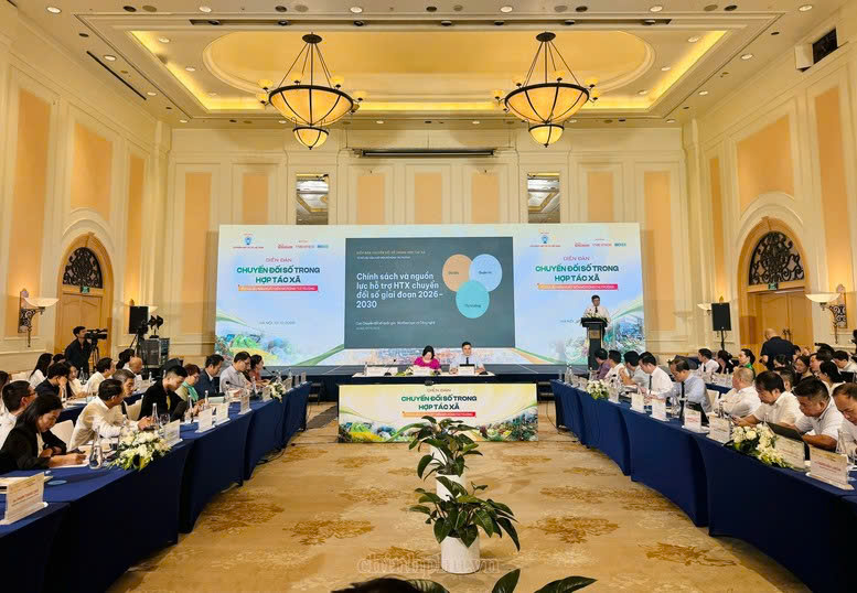 Chuyển đổi số trong Hợp tác xã: Từ dữ liệu sản xuất đến mở rộng thị trường