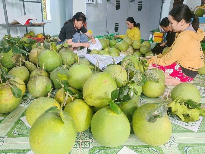 Nông dân đưa nông sản lên sàn thương mại điện tử